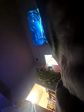 Sweetieboi04 online show from April 2026 06:17:02 AM