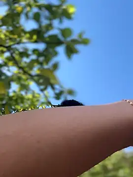 LukeLouHarvey online show from September 2025 03:51:01 AM