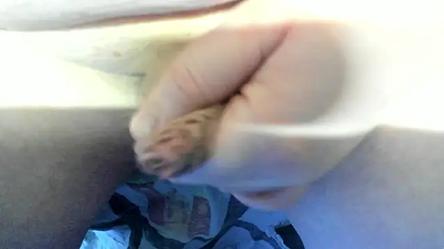 Big Andiy online show from December 2025 04:19:01 AM