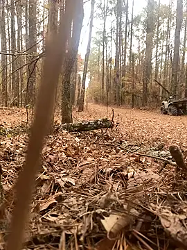 Snapshot of Themechanic420 chatting on December 2024 07:14:02 PM Themechanic420 online show from December 2024 07:14:02 PM