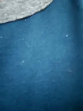 Snapshot of Bangalorebull chatting on October 2025 03:20:02 AM Bangalorebull online show from October 2025 03:20:02 AM