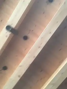 Snapshot of Fellix chatting on December 2024 11:30:01 AM Fellix online show from December 2024 11:30:01 AM