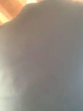 Snapshot of Fellix chatting on February 2025 11:34:02 AM Fellix online show from February 2025 11:34:02 AM