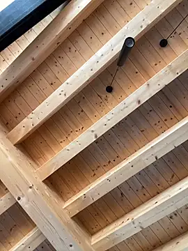 Snapshot of Fellix chatting on October 2025 10:29:01 AM Fellix online show from October 2025 10:29:01 AM