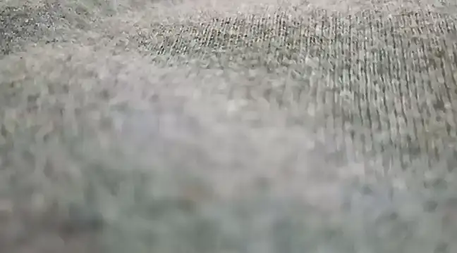 Snapshot of asira39 chatting on January 2025 05:20:02 AM asira39 online show from January 2025 05:20:02 AM