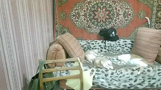 Kathlyn  Heath online show from February 2026 01:34:02 AM