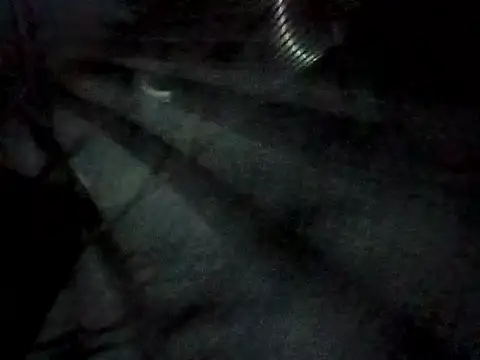 Lent Medium online show from September 2025 05:36:01 PM