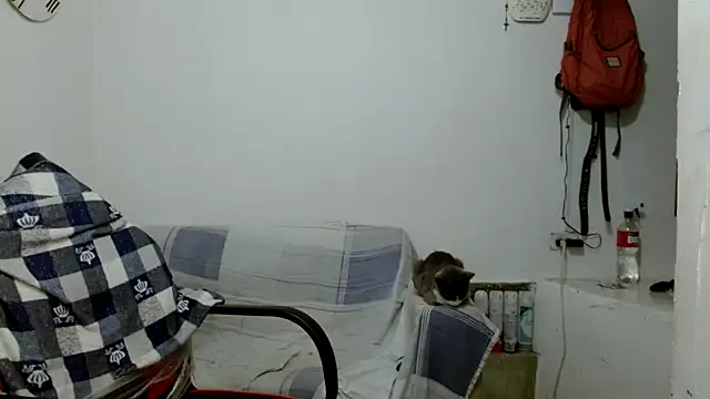 angelamarie1 online show from October 2025 12:06:01 PM