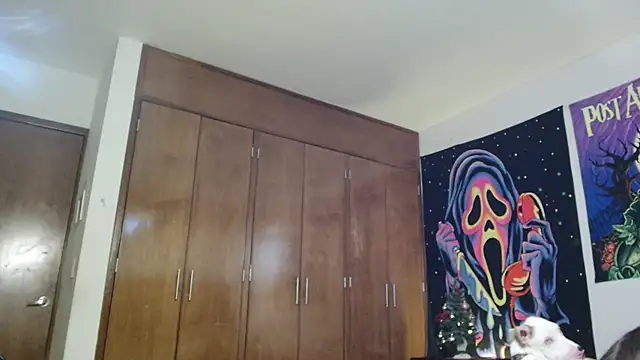 MINI Petite online show from December 2025 05:50:01 PM