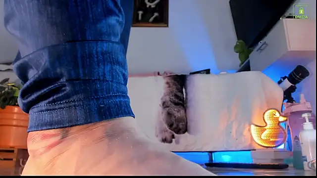 miaa-lee online show from October 2025 04:28:01 PM