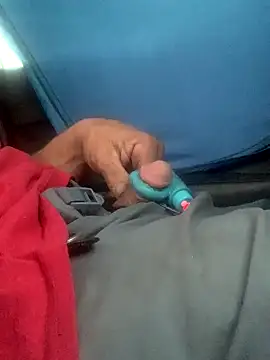 Snapshot of Likewise chatting on December 2024 04:50:01 PM Likewise online show from December 2024 04:50:01 PM