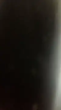 Snapshot of Likewise chatting on December 2024 09:09:02 PM Likewise online show from December 2024 09:09:02 PM