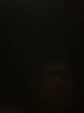 Snapshot of Likewise chatting on December 2024 01:54:02 PM Likewise online show from December 2024 01:54:02 PM