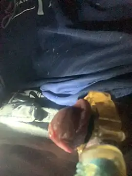 Snapshot of Likewise chatting on February 2025 09:54:01 AM Likewise online show from February 2025 09:54:01 AM