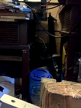 Snapshot of Likewise chatting on October 2025 05:46:02 PM Likewise online show from October 2025 05:46:02 PM