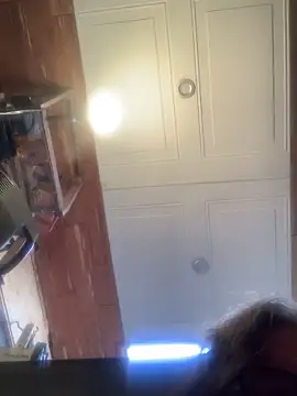 Snapshot of Likewise chatting on November 2025 07:13:02 PM Likewise online show from November 2025 07:13:02 PM