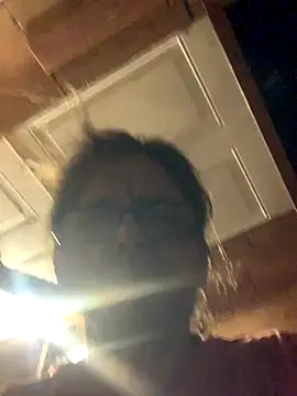 Snapshot of Likewise chatting on November 2025 03:16:01 PM Likewise online show from November 2025 03:16:01 PM