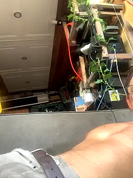 Snapshot of Likewise chatting on December 2025 08:48:01 PM Likewise online show from December 2025 08:48:01 PM