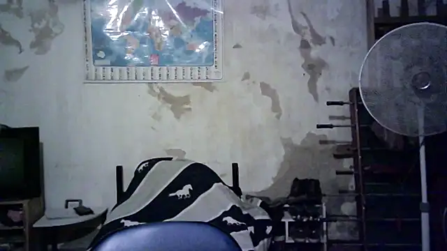 Emv2 online show from November 2025 04:57:01 AM