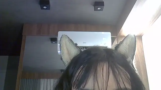 Skinny-Kitten online show from February 2026 05:25:01 PM