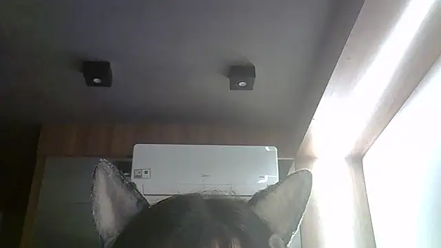 Skinny-Kitten online show from March 2026 08:37:02 AM