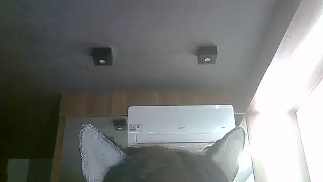 Snapshot of Skinny-Kitten chatting on June 2026 03:47:01 PM Skinny-Kitten online show from June 2026 03:47:01 PM