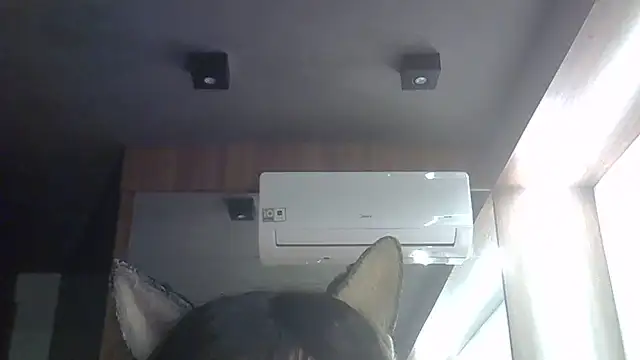 Snapshot of Skinny-Kitten chatting on June 2026 03:52:02 AM Skinny-Kitten online show from June 2026 03:52:02 AM