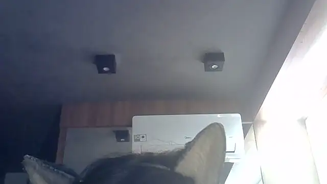 Snapshot of Skinny-Kitten chatting on June 2026 09:32:01 AM Skinny-Kitten online show from June 2026 09:32:01 AM