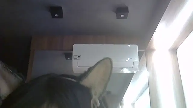 Skinny-Kitten online show from June 2026 05:23:02 AM