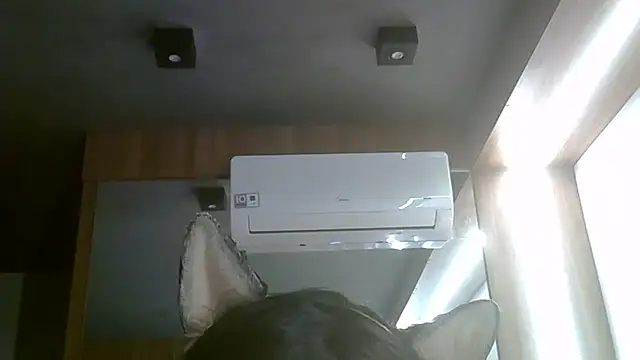 Skinny-Kitten online show from July 2026 06:04:01 PM
