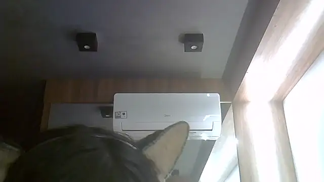 Skinny-Kitten online show from July 2026 04:09:01 PM