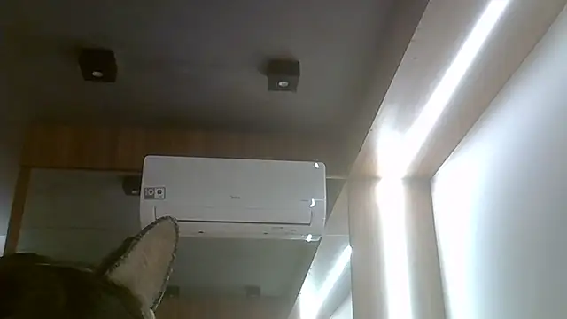 Skinny-Kitten online show from July 2026 02:59:01 PM