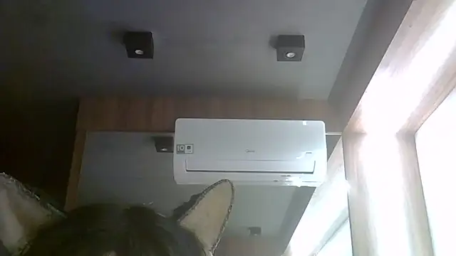 Skinny-Kitten online show from July 2026 04:10:02 AM