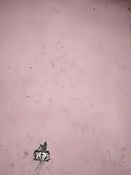 Sliced Digit online show from March 2025 10:41:02 PM