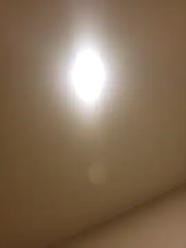 Snapshot of lofibunni chatting on February 2026 12:46:02 PM lofibunni online show from February 2026 12:46:02 PM