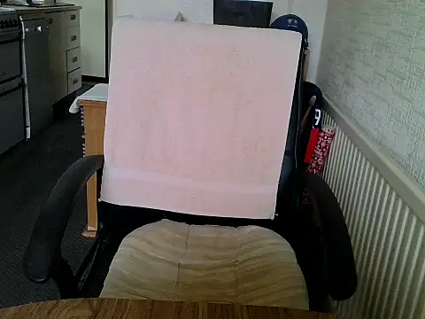 daddyflash online show from February 2026 01:05:02 PM