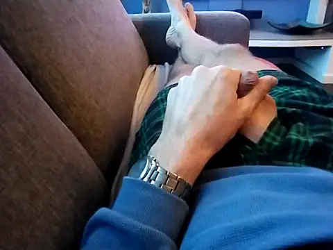 jk1981jk online show from November 2025 07:14:01 AM