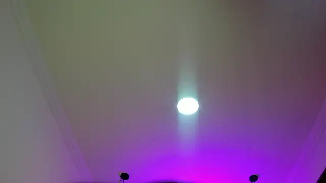 nalalye cruzz  online show from March 2026 02:04:02 AM