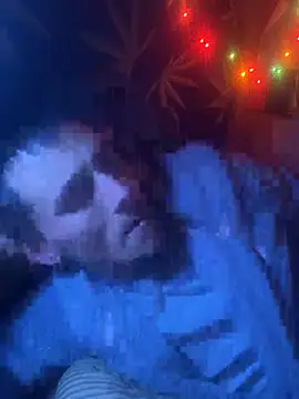 Snapshot of bugboy chatting on February 2026 06:06:01 AM bugboy online show from February 2026 06:06:01 AM