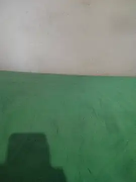 Snapshot of _Scorpion_ chatting on February 2025 07:38:01 PM  Scorpion  online show from February 2025 07:38:01 PM