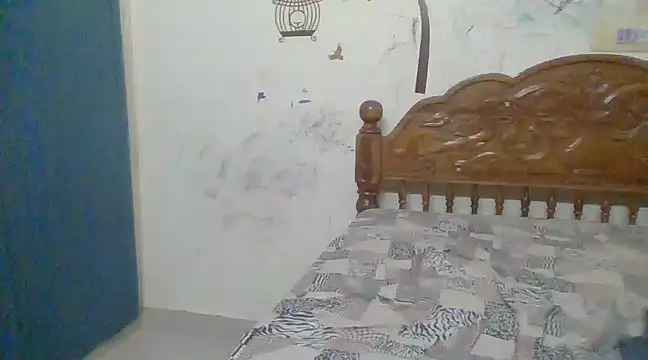 giftvijay1 online show from December 2024 05:34:01 PM