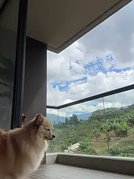 Helenbronwx online show from January 2025 06:52:01 PM