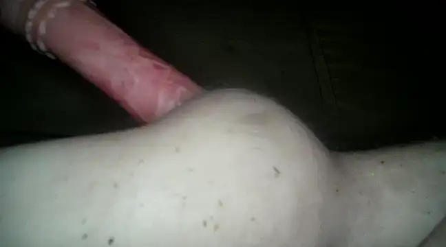 xxxlecram online show from March 2025 02:01:02 PM