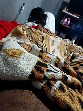 Mailsonp online show from February 2026 03:33:01 PM