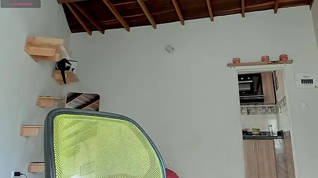 Rainbow leia online show from October 2025 07:02:02 PM