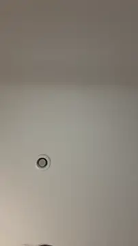 MichelleFerry  online show from December 2025 06:31:01 AM