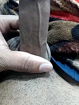 Snapshot of addu24 chatting on March 2026 02:31:02 PM addu24 online show from March 2026 02:31:02 PM