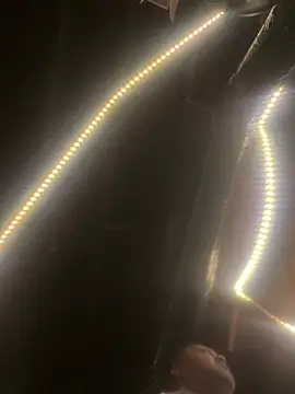 bigzae82 online show from January 2025 05:44:02 AM