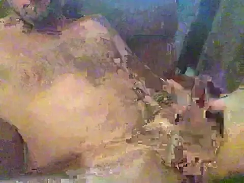 timmy88809 online show from February 2026 04:47:02 PM