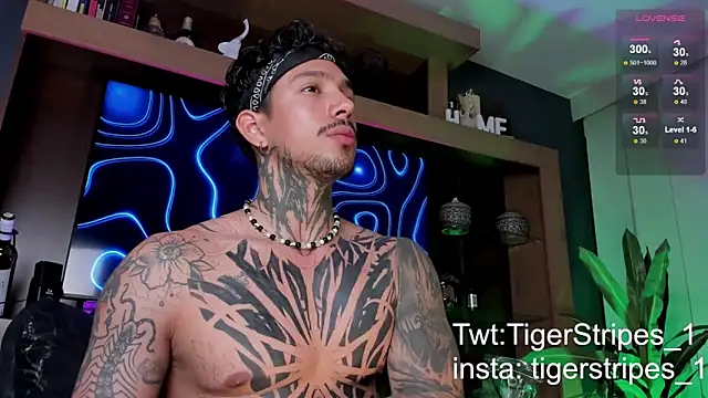 TigerStripes1  online show from March 2025 12:31:02 AM